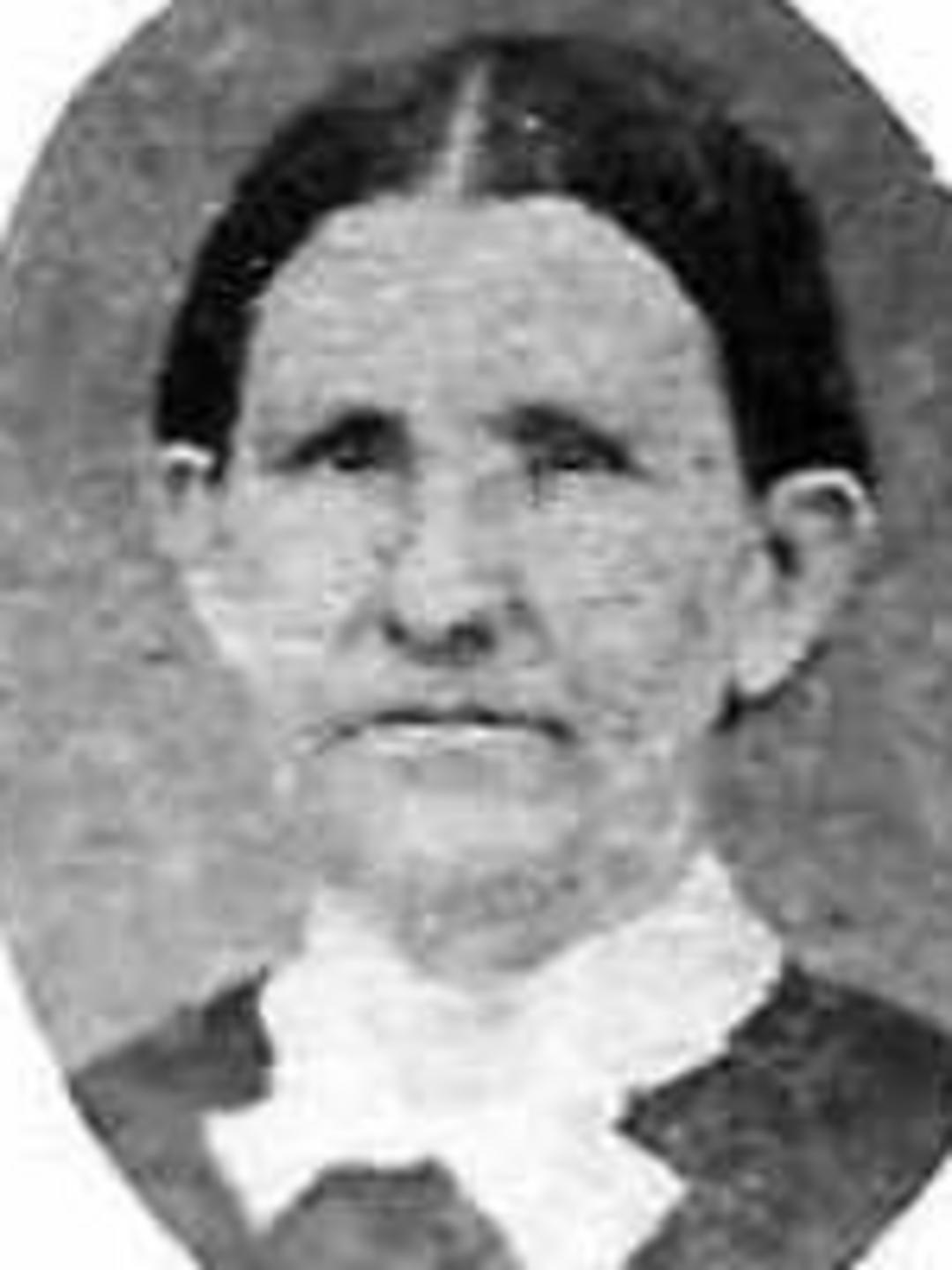 Sarah Corina Elmer (1813 - 1889) Profile